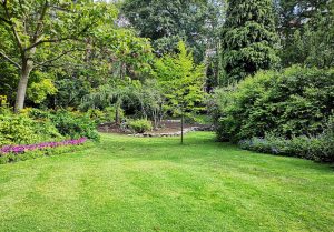 Optimiser l'expérience du jardin à Le Mesnil-le-Roi